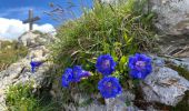 Tour Wandern Saint-Pierre-de-Chartreuse - Le charmant Som en Boucle - Photo 3