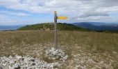 Trail Walking Buoux - Buoux-Grand Luberon 17km - Photo 2
