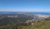 Trail Walking Marseille - carpiagne 1 - Photo 1