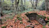 Excursión Senderismo Pélussin - croix de Montvieux château Belize - Photo 2