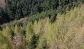 Randonnée Marche Chambost-Allières - Chambost avec forêt des expériences et belvédère - Photo 4