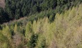 Excursión Senderismo Chambost-Allières - Chambost avec forêt des expériences et belvédère - Photo 4