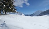 Trail Snowshoes Les Villards-sur-Thônes - Plateau de Beauregard - Photo 14