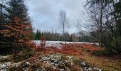 Trail Walking Sainte-Ode - rando lavacherie 29/12/2020 - Photo 16