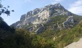 Trail Ropes Duilhac-sous-Peyrepertuse - Cathare 4 Duilhac sous P.  Bugarach - Photo 9