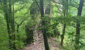 Trail Walking Dinant - Ansereme - Photo 7
