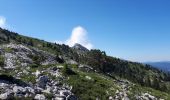 Excursión Senderismo Lans-en-Vercors - Pic St Michel et Col de l'Arc - Photo 1