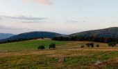 Trail Walking Le Valtin - La Schlucht - Le Hohneck - Photo 20