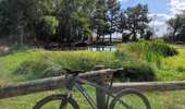 Percorso Mountainbike Saint-Priest - Saint-Priest Cyclisme sur route - Photo 5