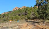 Tocht Stappen Saint-Raphaël - Rando des Etangs - Photo 16