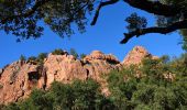 Excursión Senderismo Le Muy - Pk Piste des Corbières - Rocher de la fille d'Isnard - Photo 7