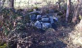 Trail On foot Wettingen - Mooshalden - Eggetsacher - Photo 8