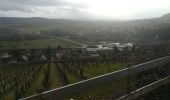 Tour Wandern Marlenheim - le vignoble de marlenheim (circuit) - Photo 4