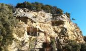 Excursión Senderismo Saint-Restitut - St Restitut - Château du Barry - village troglodyte - Photo 10