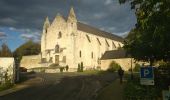 Tocht Stappen Bourgueil - bourgueil 18 - Photo 13