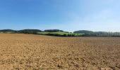 Trail Walking Williers - rando chameleux 22-08-2024 - Photo 15