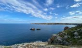 Randonnée Marche Plogoff - Rando autour de la Pointe du Raz - Photo 3