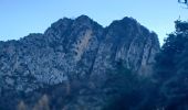 Trail Walking Chaudon-Norante - BEYNES .  chapelle S Étienne,  Creisset o l  - Photo 2
