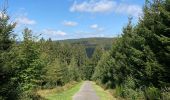 Trail Walking Waimes - Ondenval  - Photo 5