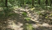 Tour Wandern La Chapelle-Enchérie - La Chapelle-Enchérie - Bois de Bricsard - Photo 12