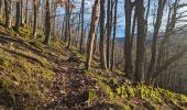 Trail Walking Grendelbruch - suuntoapp-Hiking-2024-01-21T12-04-41Z - Photo 5