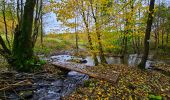 Tour Wandern Gedinne - Balade à Willerzie - Gedinne - Photo 9