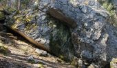 Randonnée Marche Châtel-en-Trièves - tour de la forêt domaniale de Chatel - Photo 1