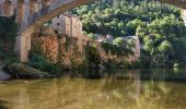 Tour Wandern Gorges du Tarn Causses - ste enimie - la Malene - Photo 1