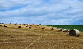 Randonnée Marche Anhée - Balade de Denée à Ermeton-sur-Biert - Photo 13