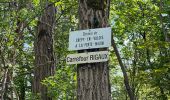 Trail Walking Ormoy-le-Davien - 040522 - Boucle Ormoy le Davien - Moulin de Wallu... - Photo 7