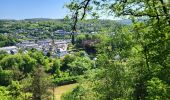 Tocht Stappen Bouillon - Botassart 240523 - Photo 4