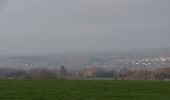 Tour Wandern Verviers - 20201129 - Maison Bois 5.1 Km - Photo 2