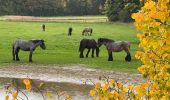 Trail Walking Tervuren - #221017 - Duisburg, Wolfkensberg, Raffelberg - Photo 20