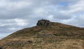 Tour Wandern Caniçal - Machado avec transfert de bus au milieu - Photo 12