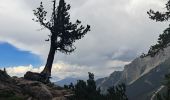 Randonnée Marche Marèo - Enneberg - Marebbe - DOLOMITES 04 - Rifugio Vallandro 2040 m - Photo 14