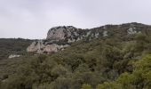 Randonnée Marche Mons - Mons  Cascade de la Siagnole  La Roche Taillée  Mégalithe de Riens - Photo 3