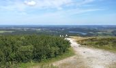 Tocht Stappen Plomodiern - Autour de Ste Marie du Ménez Hom - Photo 4