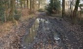 Tour Wandern Verviers - 20201129 - Maison Bois 5.1 Km - Photo 11