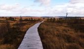 Trail Walking Waimes - La grande ronde des Fagnes   - Photo 3