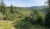 Trail Walking Saint-Agnan-en-Vercors - Col de soulier - Photo 9