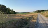 Trail Walking Narbonne - 9 km rando Narbonne plage - Photo 2