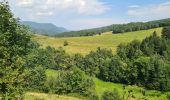 Trail Walking Sainte-Croix-aux-Mines - Le Hury par le Petit-Haut - Photo 20