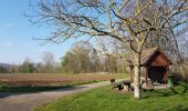 Tocht Stappen Dahlenheim - Circuit du Rutscherle variante - Photo 18