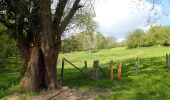 Tocht Stappen Chaumont-Gistoux - #210507 Dion-le-Mont, Pisselet et Louvranges - Photo 17