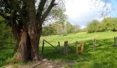 Tour Wandern Chaumont-Gistoux - #210507 Dion-le-Mont, Pisselet et Louvranges - Photo 17