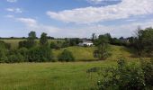 Tour Wandern Momignies - Macquenoise 170621 - Photo 14