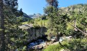 Randonnée Marche Cauterets - Pont d'Espagne  - Circuits des lacs - Photo 8