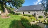 Trail Walking Ploemel - PR_56_Ploemel_BA_02_Chapelles-Et-Fontaines_Circuit1b_20230810 - Photo 4
