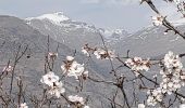 Randonnée Marche Vélez de Benaudalla -  Camino del castillo de venta de Cebada - Photo 2