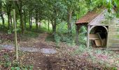 Tour Wandern Asse - Asbeek 8 km - Photo 4